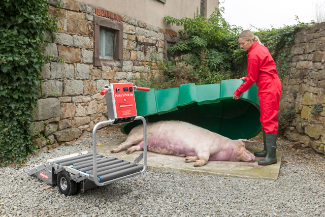 Mit dem Porky's Pick Up XL können große Sauen bis 300 Kg bequem aufgeladen, zum Kadaverplatz transportiert und abgeladen werden. Selbst ein geschotterter Hof stellt kein Hindernis dar.